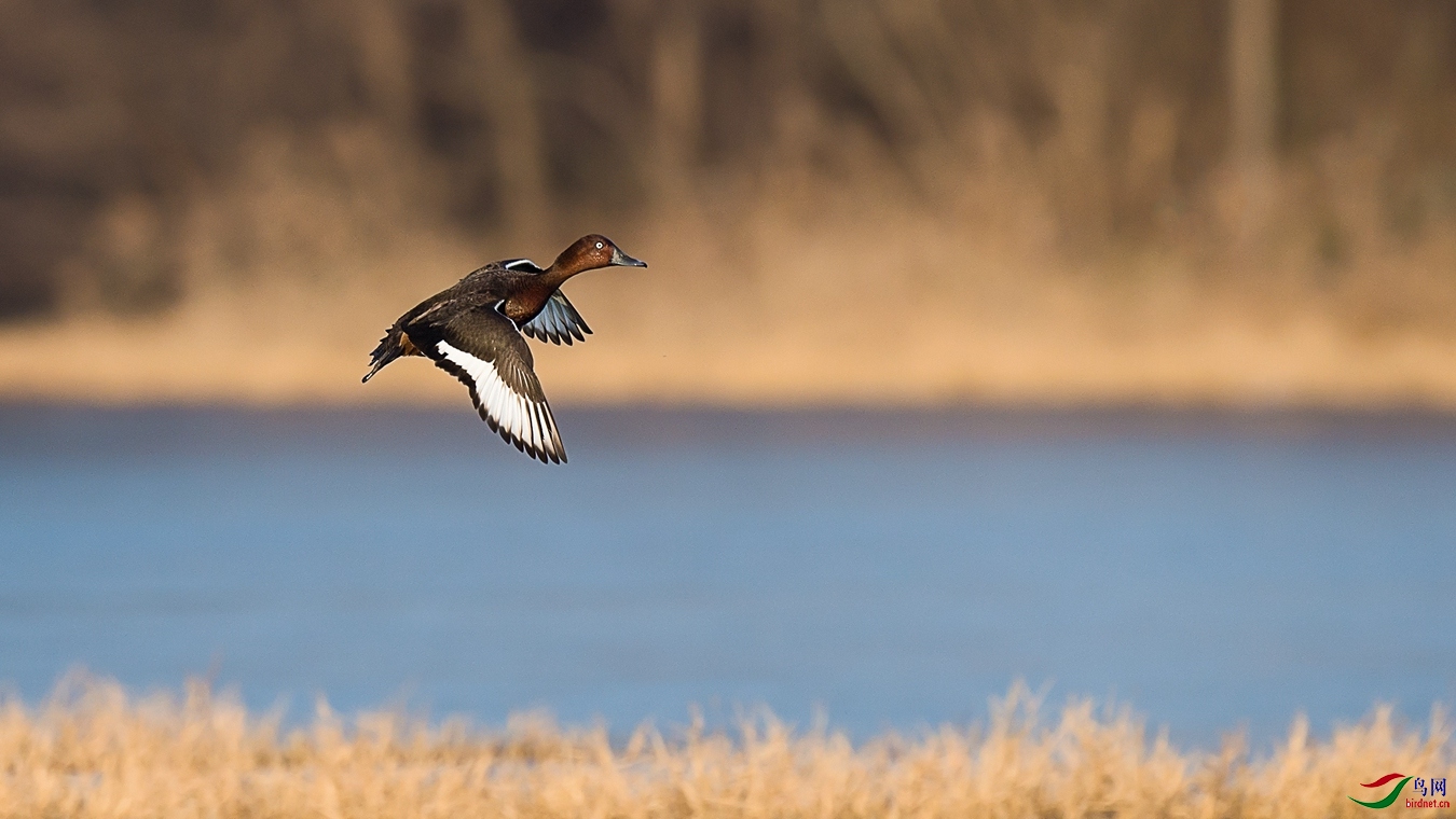 XCG_5318 - ����.jpg