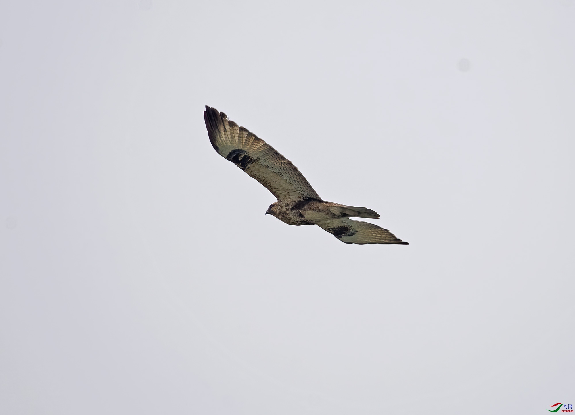 DSC_0827.jpg