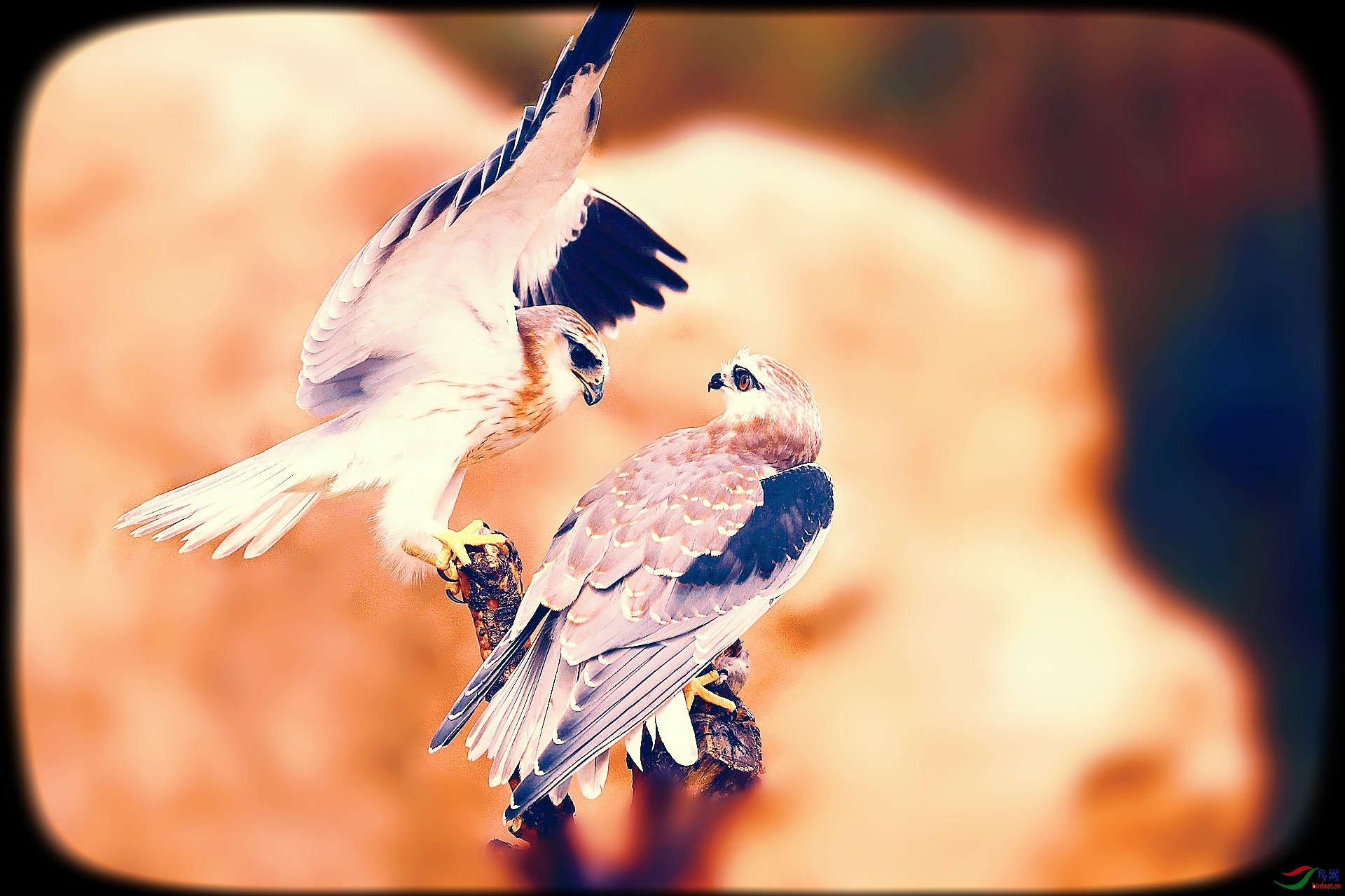AS8I1326_����_����.jpg