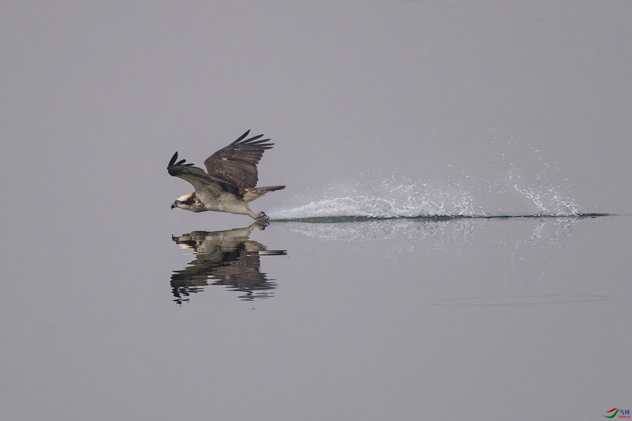 DSC_6746.jpg