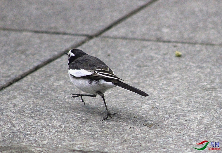 IMG_0044.JPG