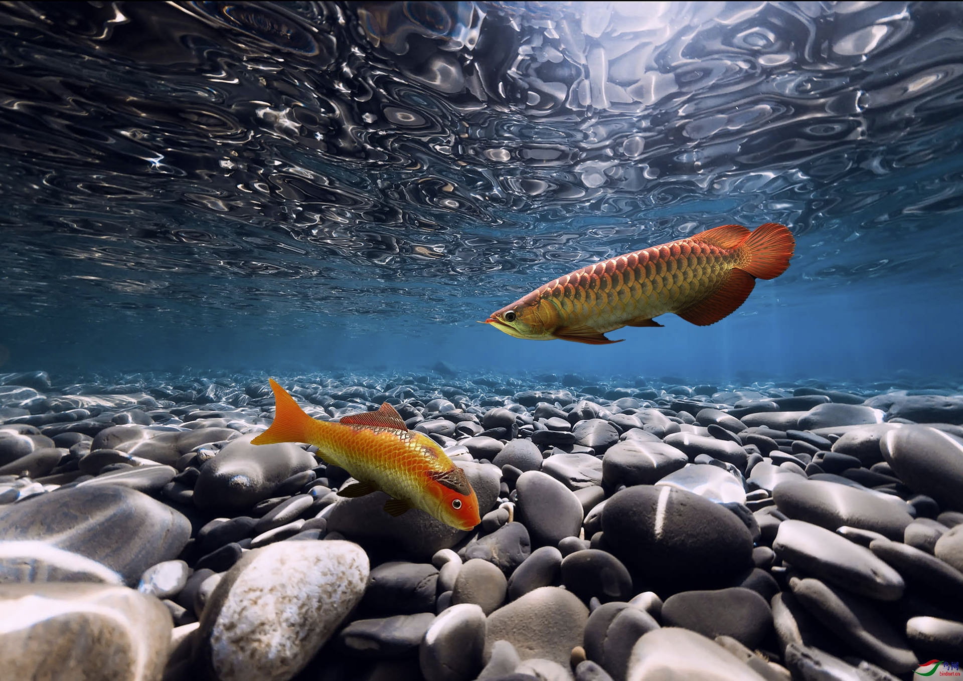 ����ǳ�� 1920x500k.jpg