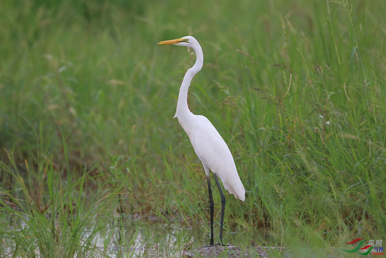 ǧţ�����ɽ� ��ʦ�����ڽ���ʡ�������żҸ���.jpg