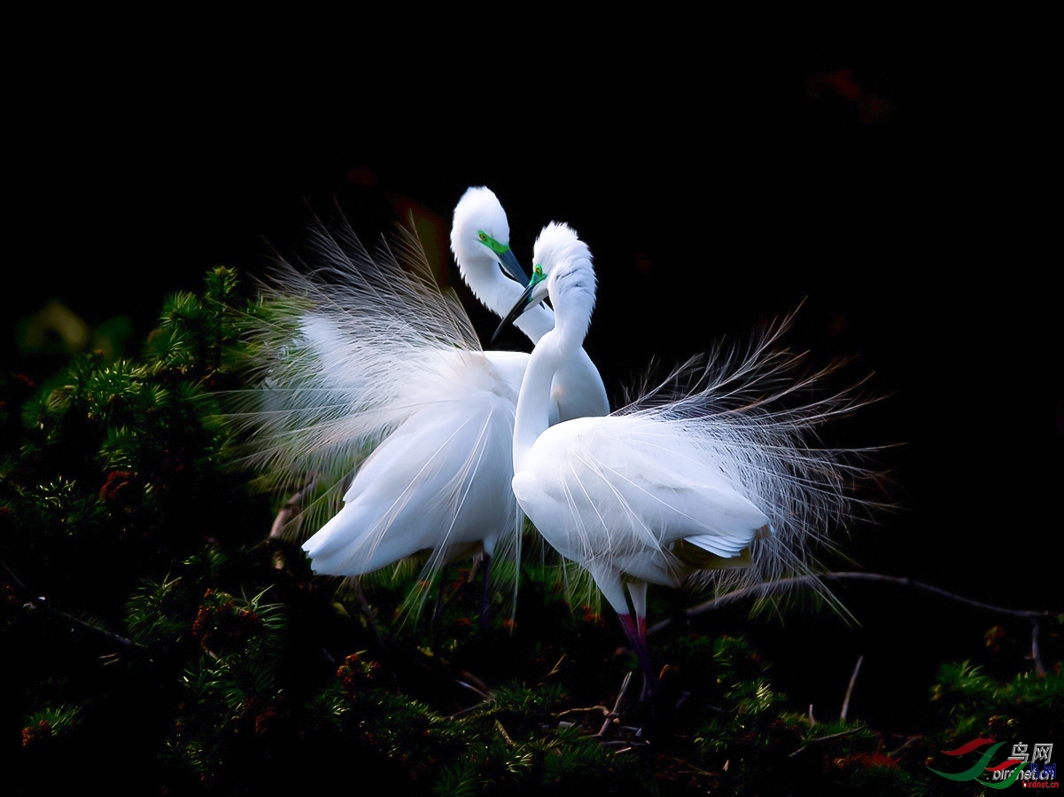 �e� ��ʦ�����ڽ���ʡ�ϲ����½���.jpg