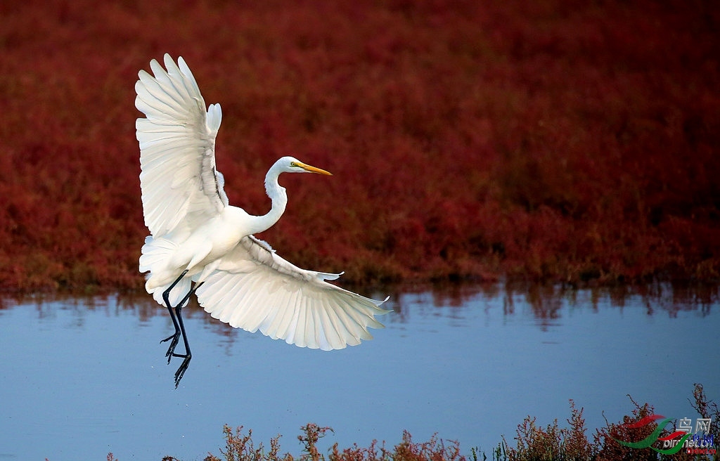 Զ��ɰ�� ��ʦ�����ڹ㶫ʡ������.jpg