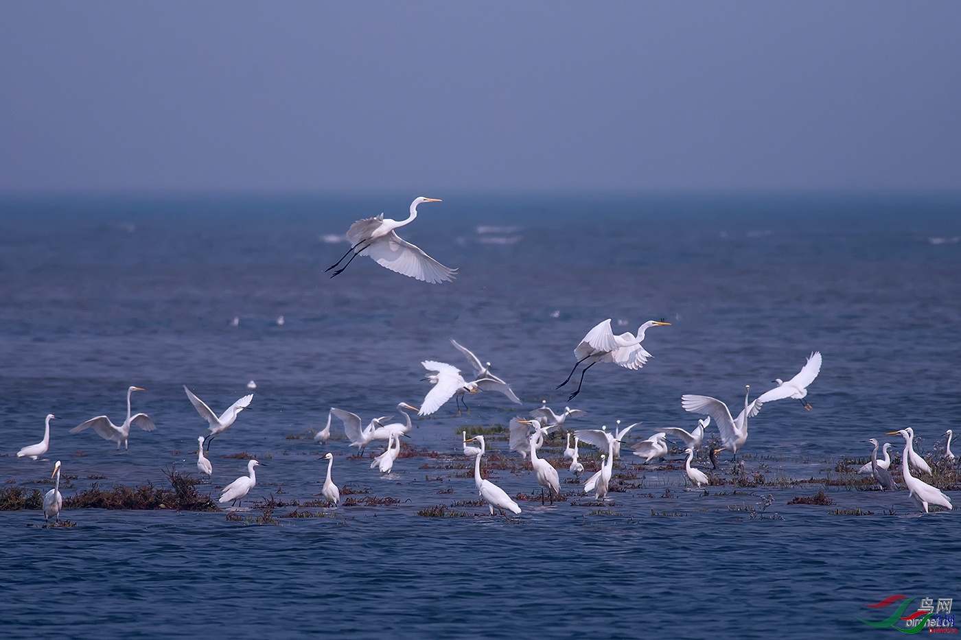 ��ɫ���� ��ʦ����.jpg