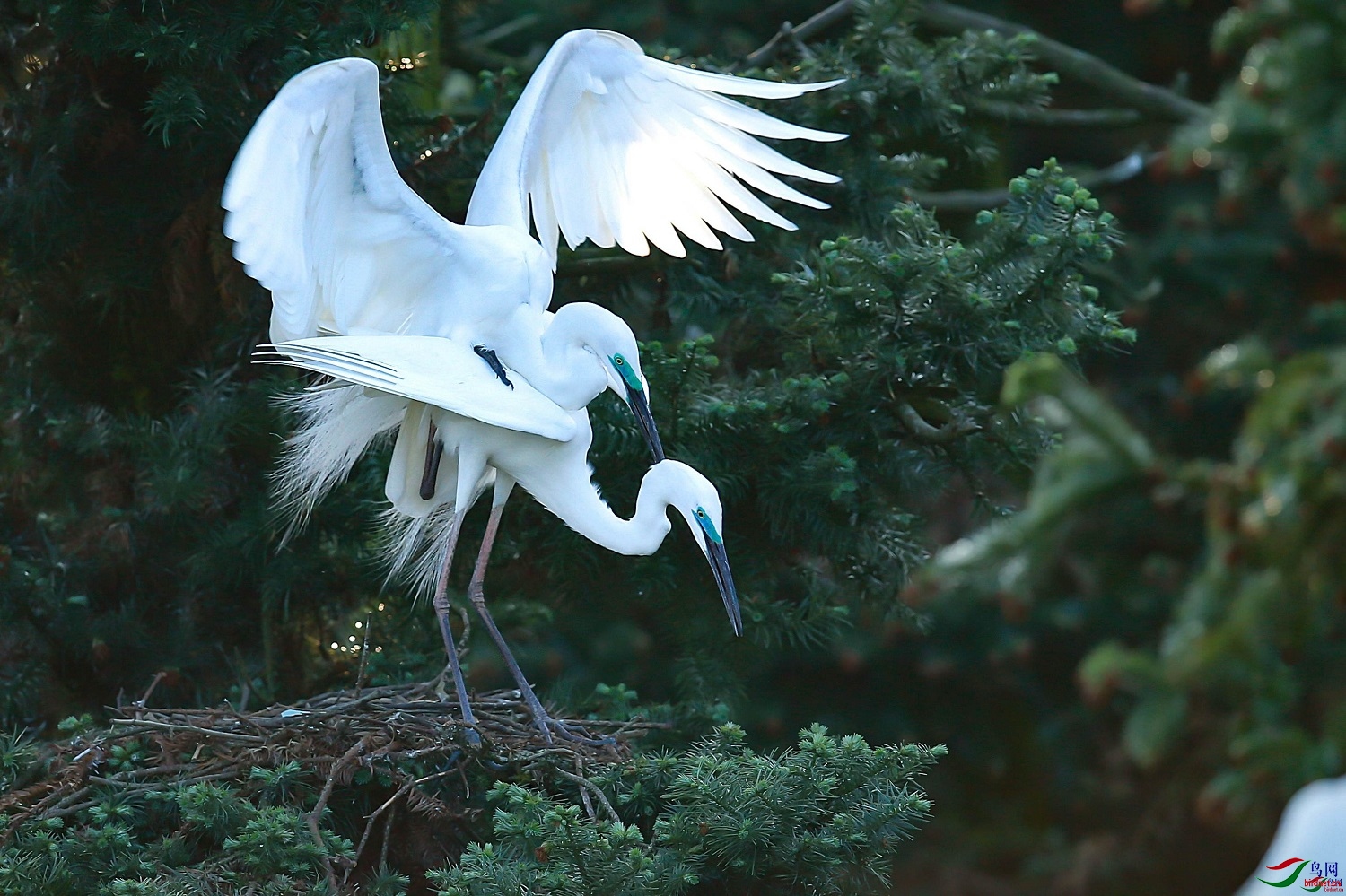 ƽ��wh ��ʦ�����ڽ���ʡ�ϲ����ϲ���500.jpg