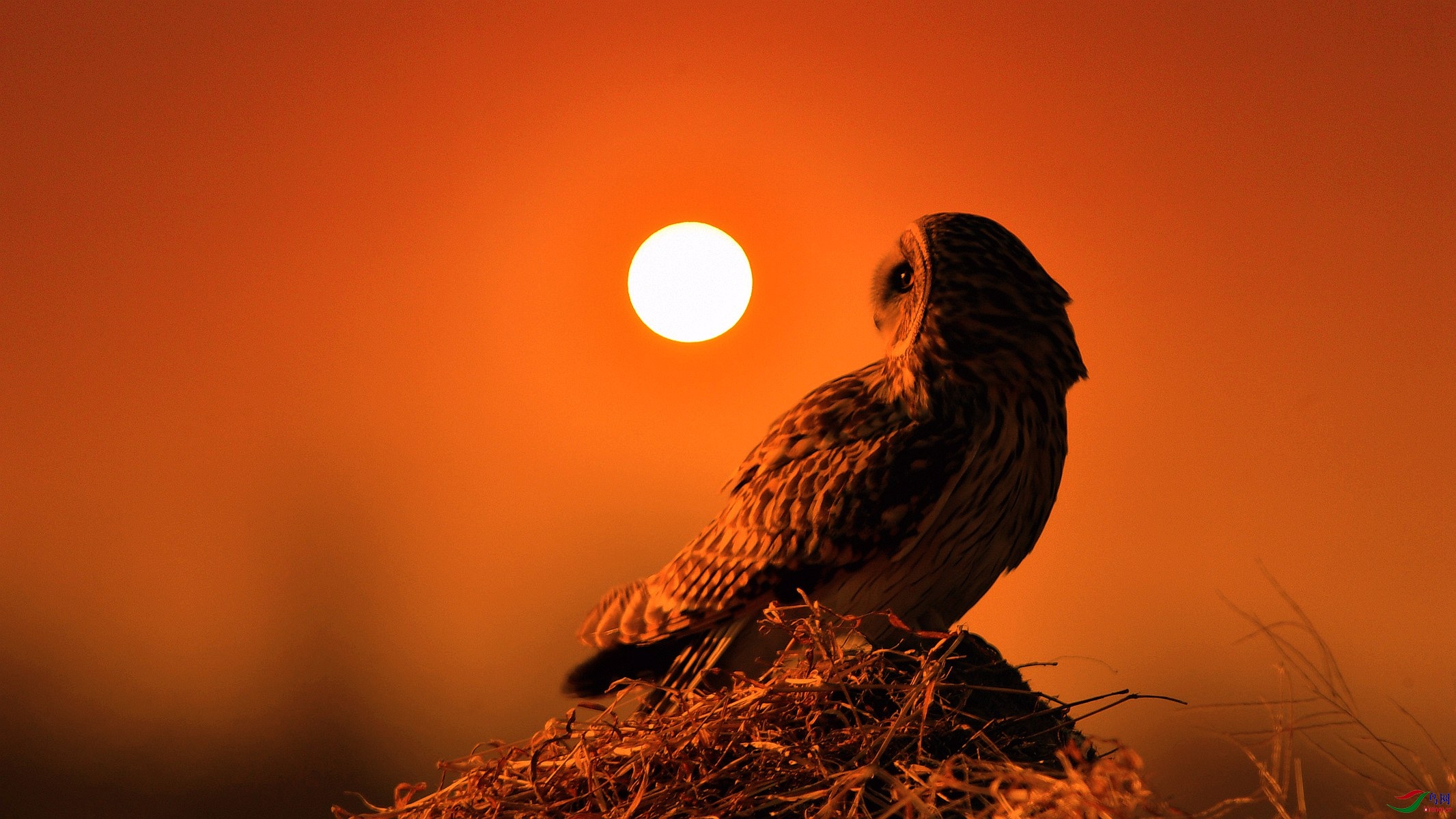 IYK_3899_����_���� ����.jpg