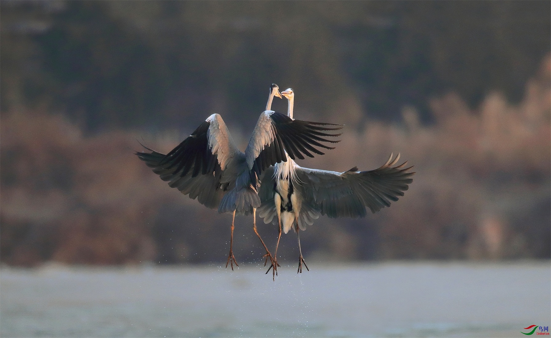 3 - ���� (3).JPG