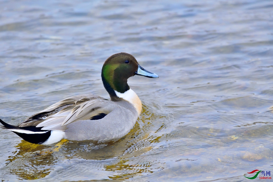 _DSC4107_00001-01-p-2.jpg