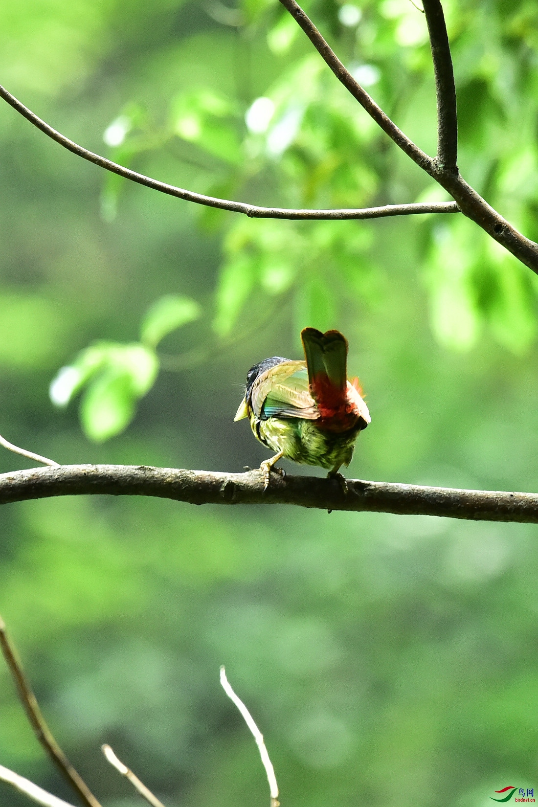 DSC_0535.JPG