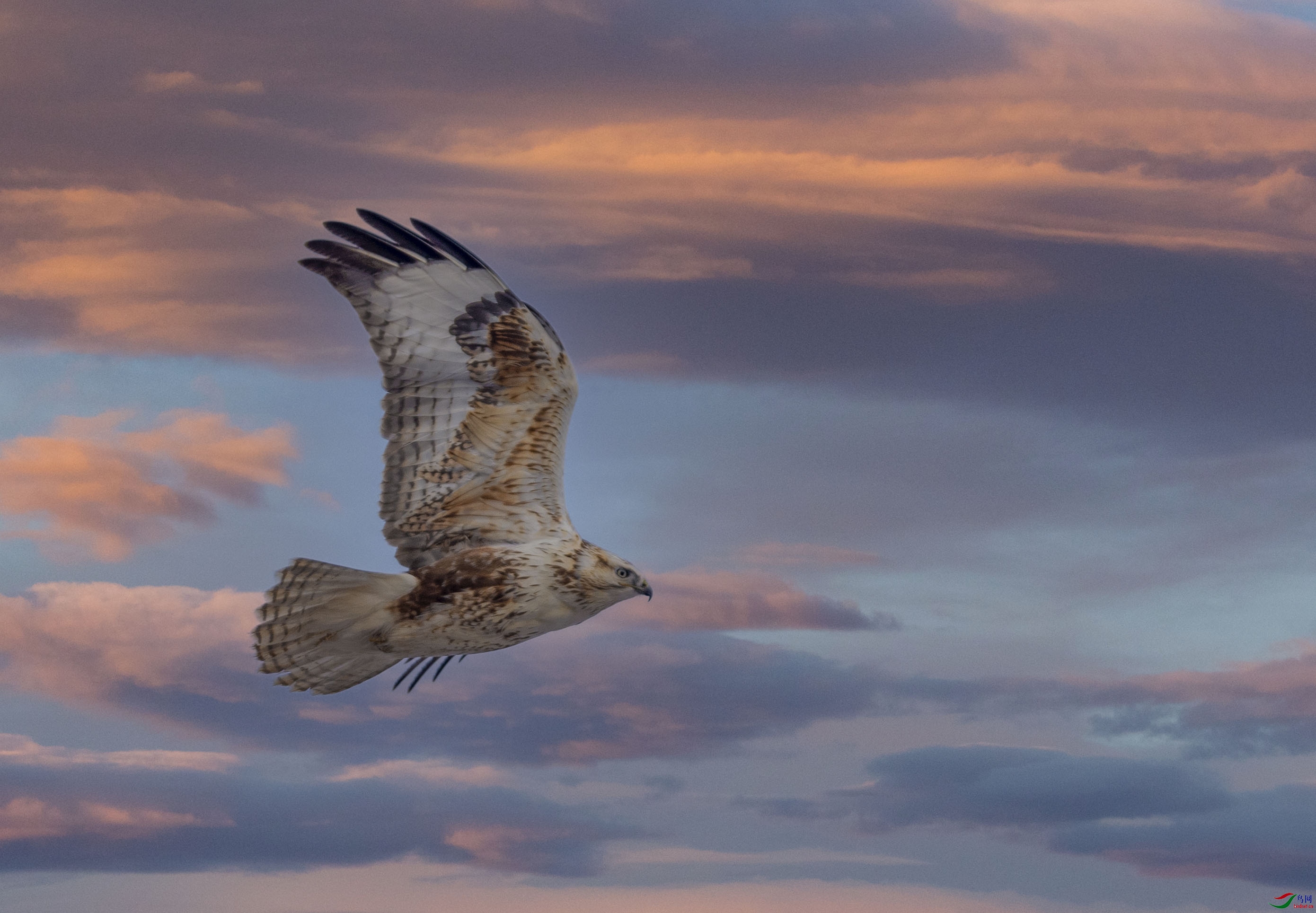 DSC_2675add.jpg