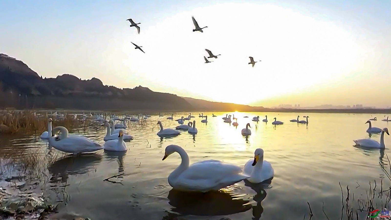 ���� - ���֮��.00_00_20_04.Still001_����.jpg