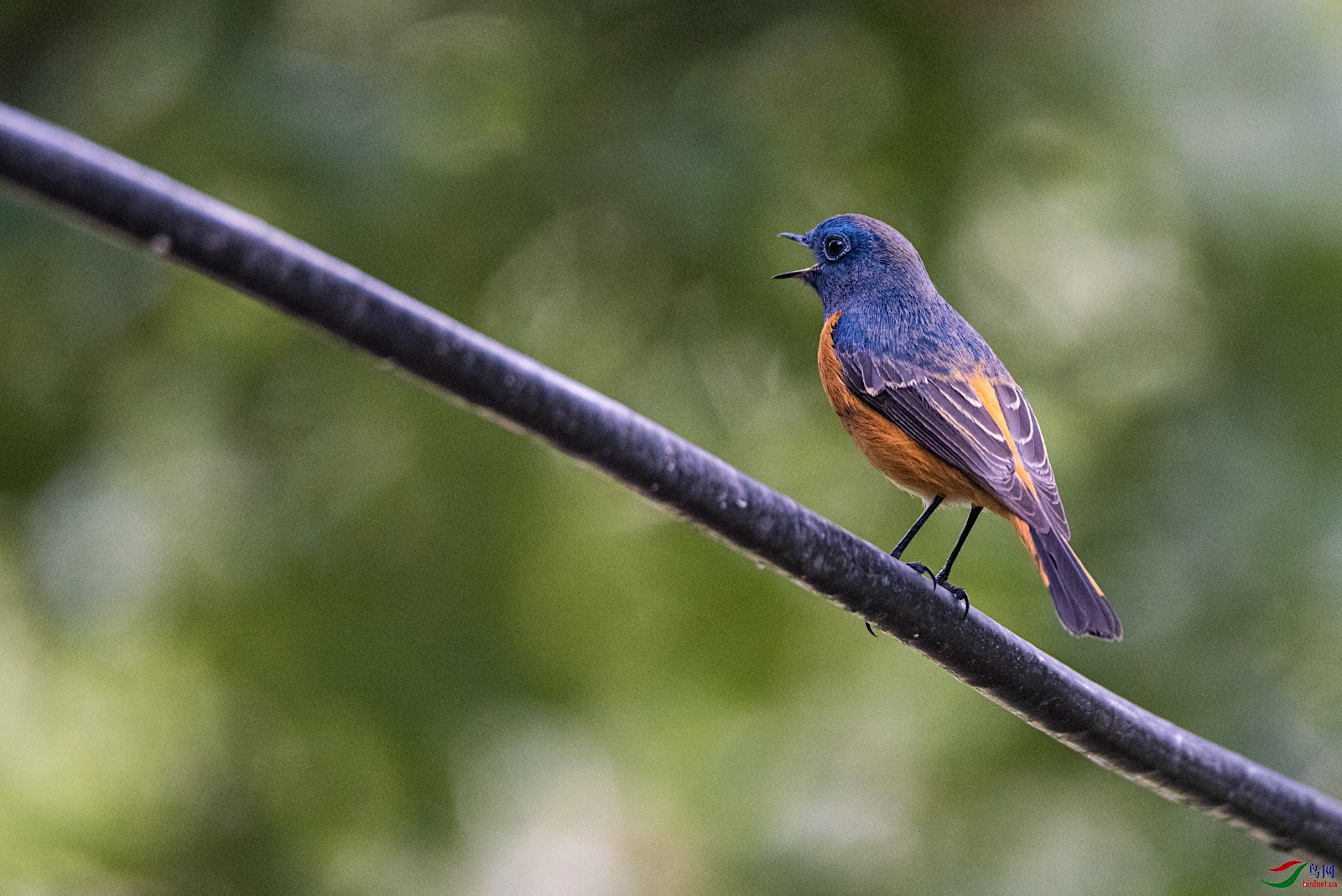 DSC_4576.jpg