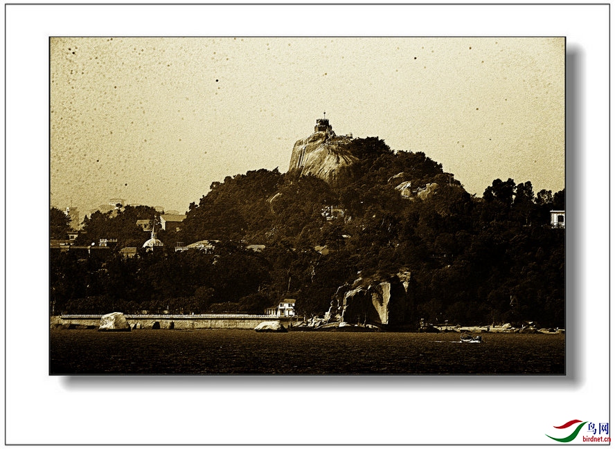 BW6I1868_����_����.jpg