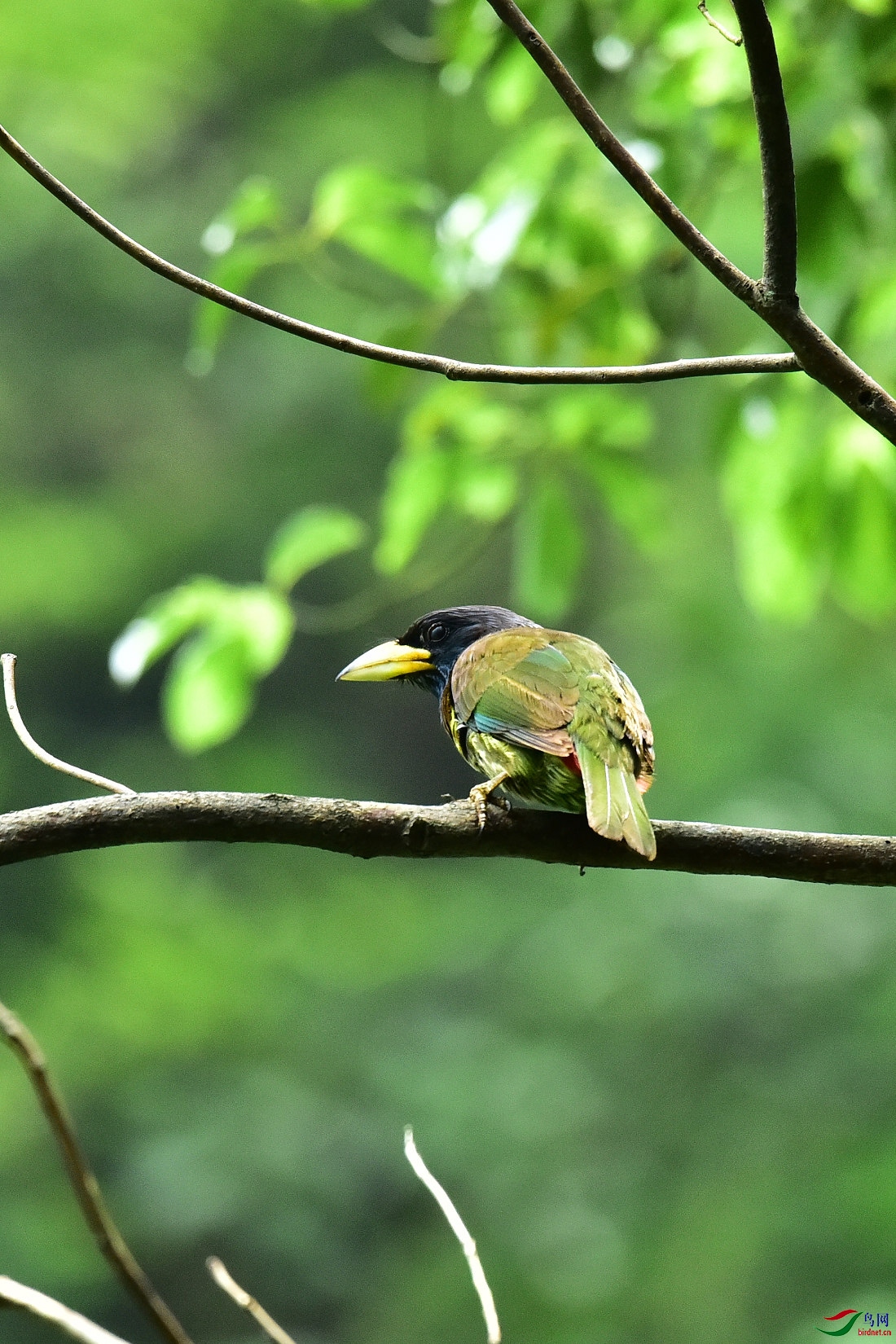DSC_0543.JPG