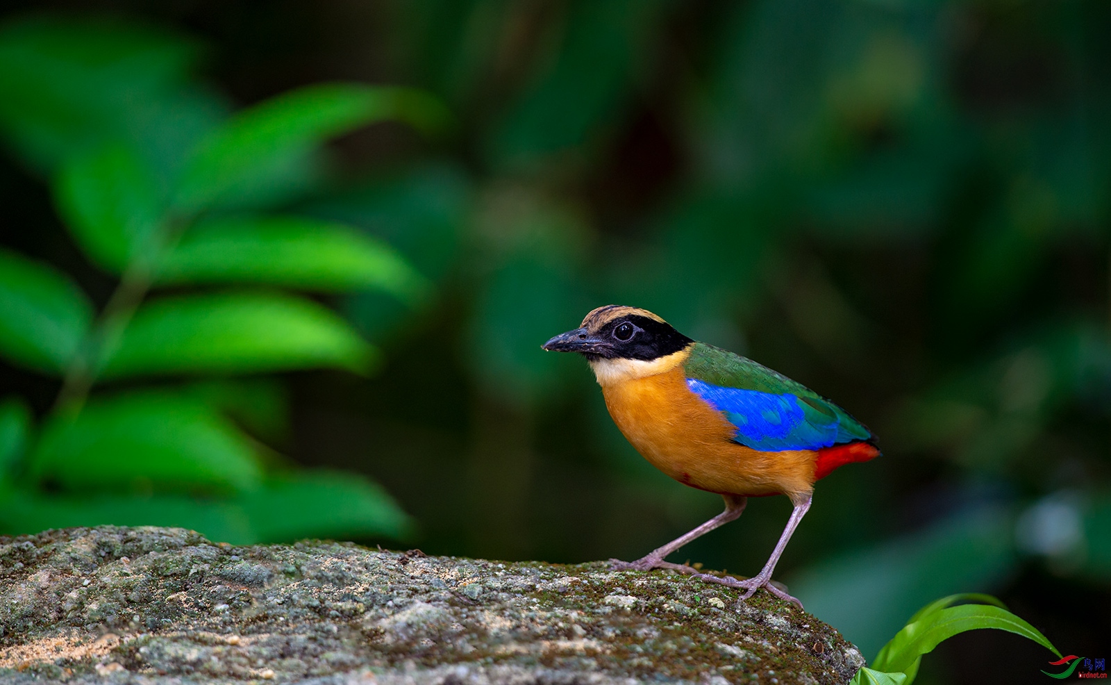 DSC_5593.jpg