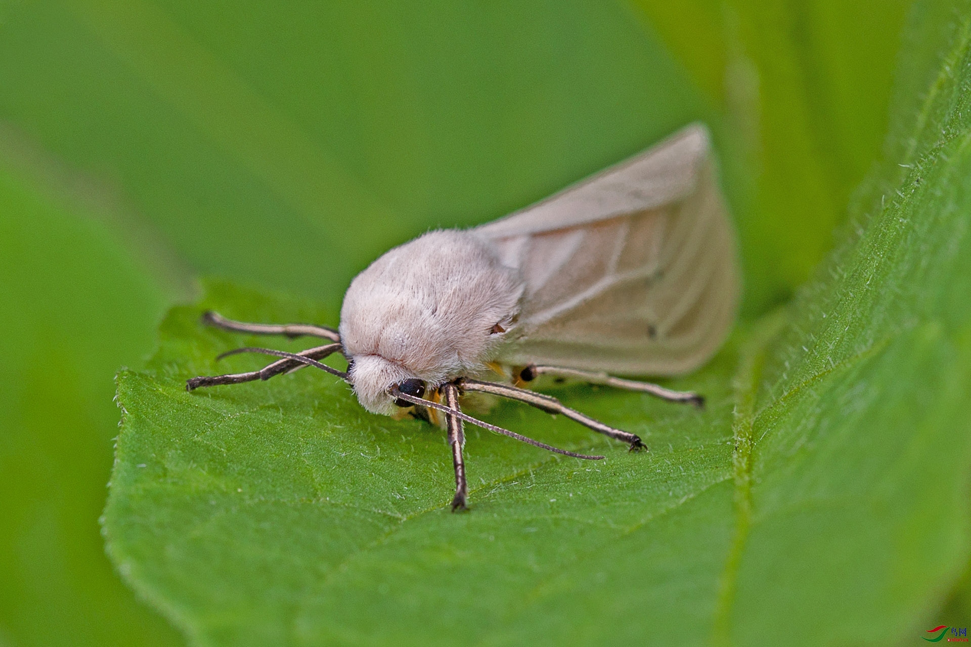 CU8B3845.jpg
