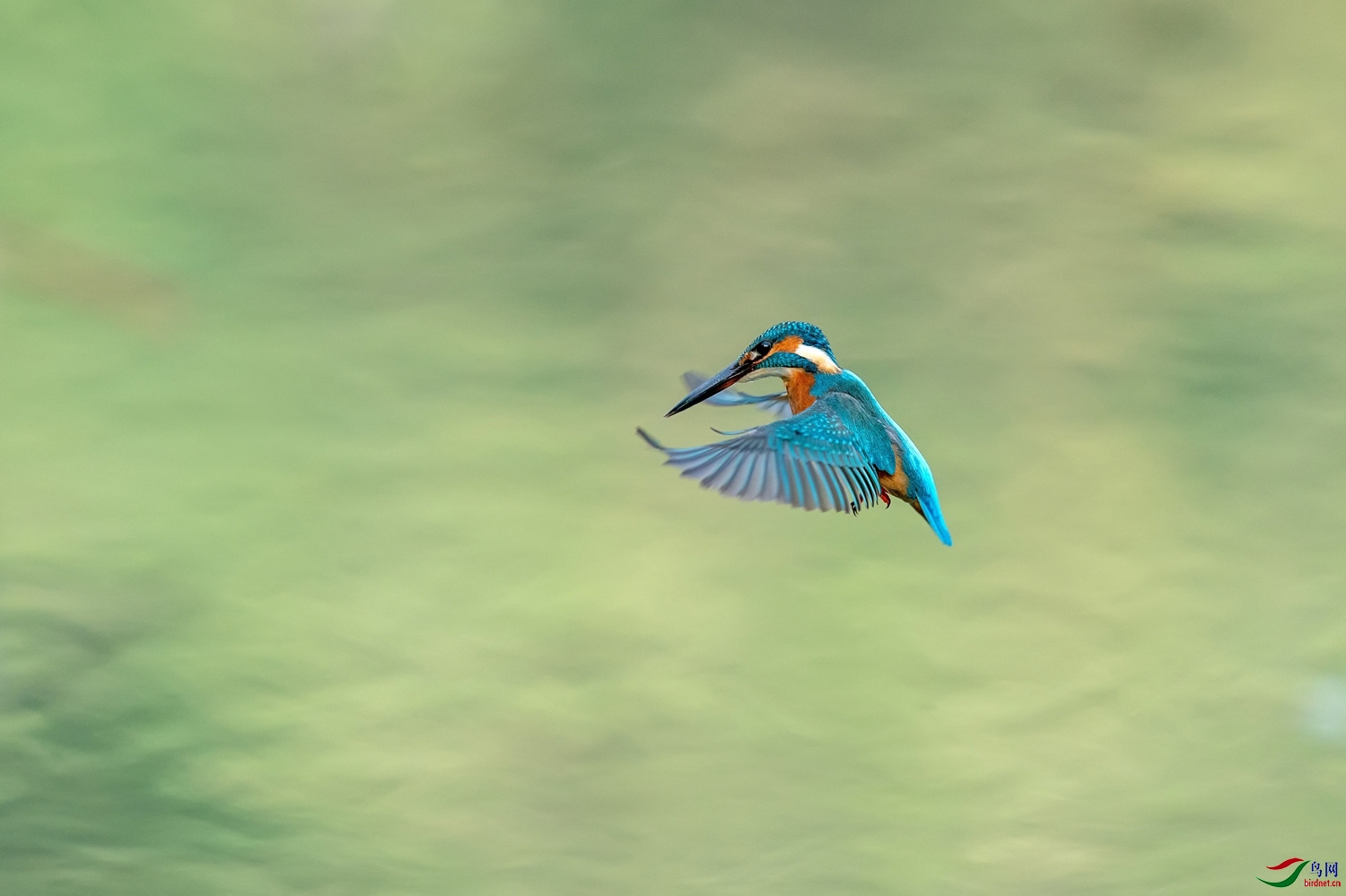 A9D05583a.jpg