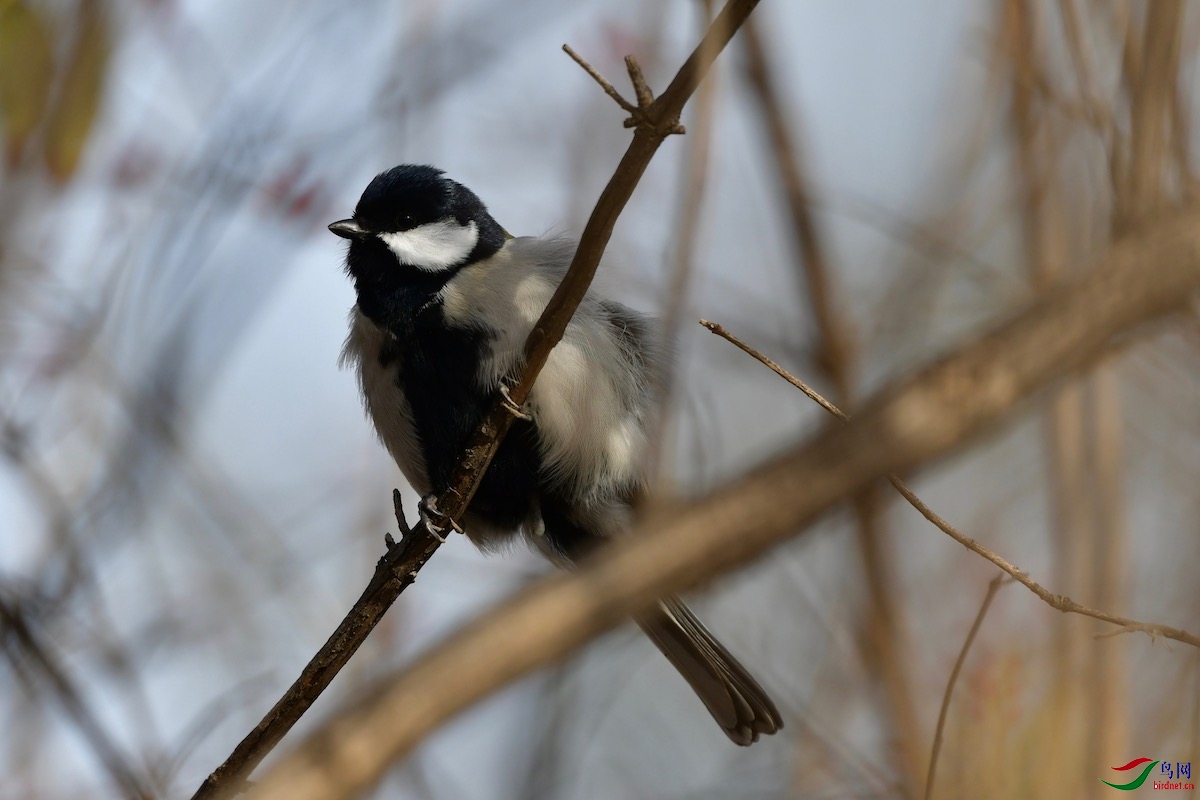 DSC_6777 2.jpg