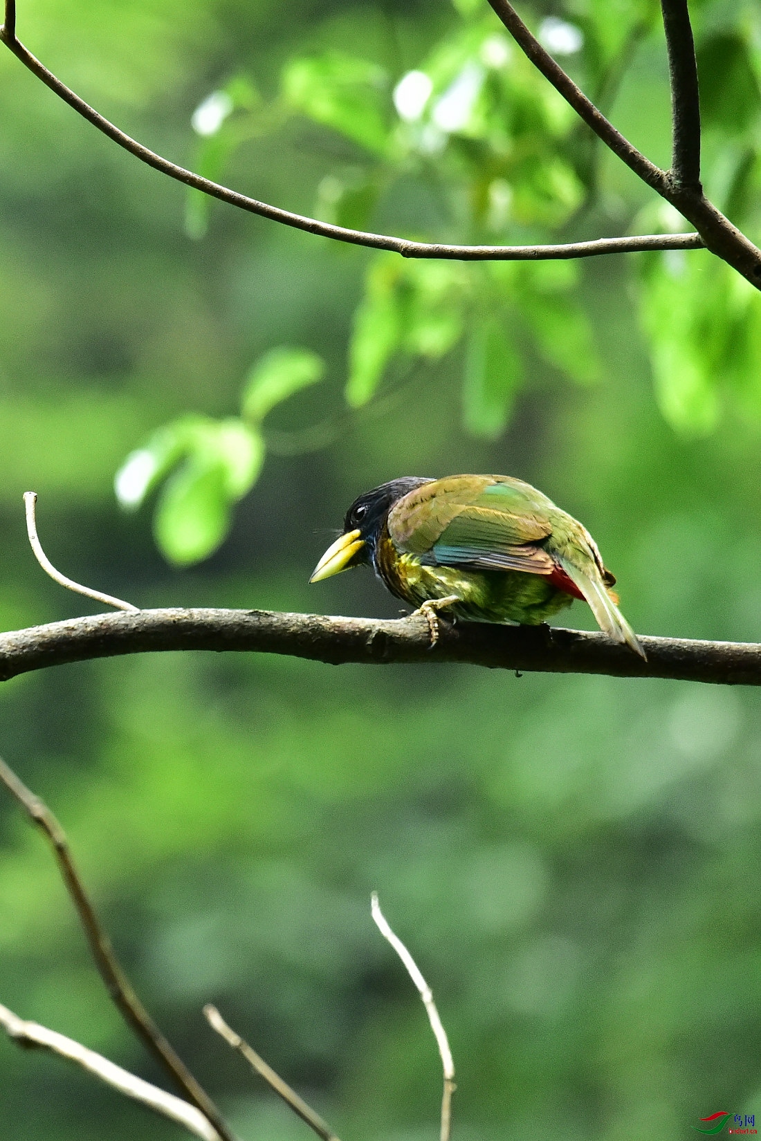 DSC_0546.JPG