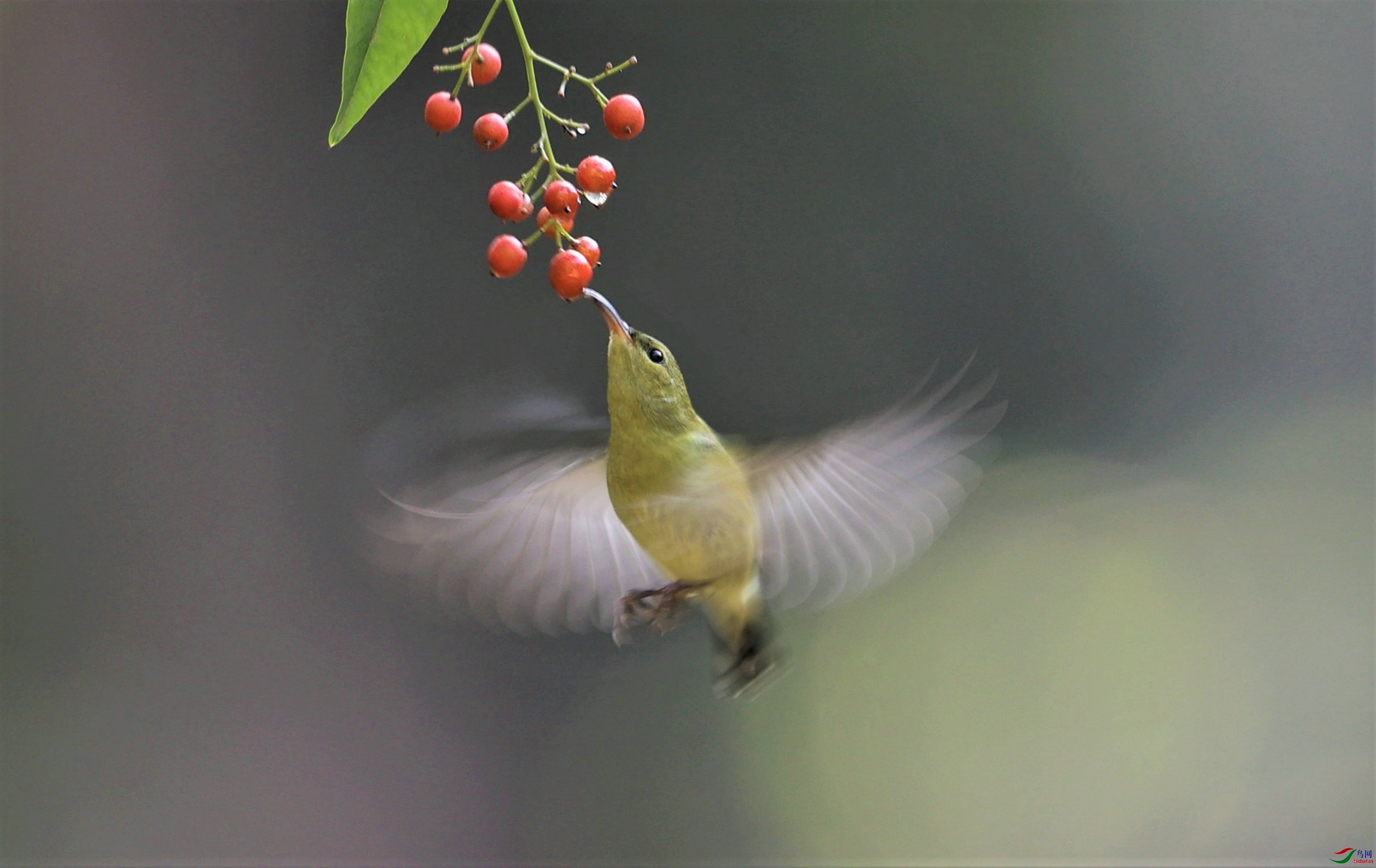 A̫���� 2020-12-27 ��������ī��2I8410.jpg