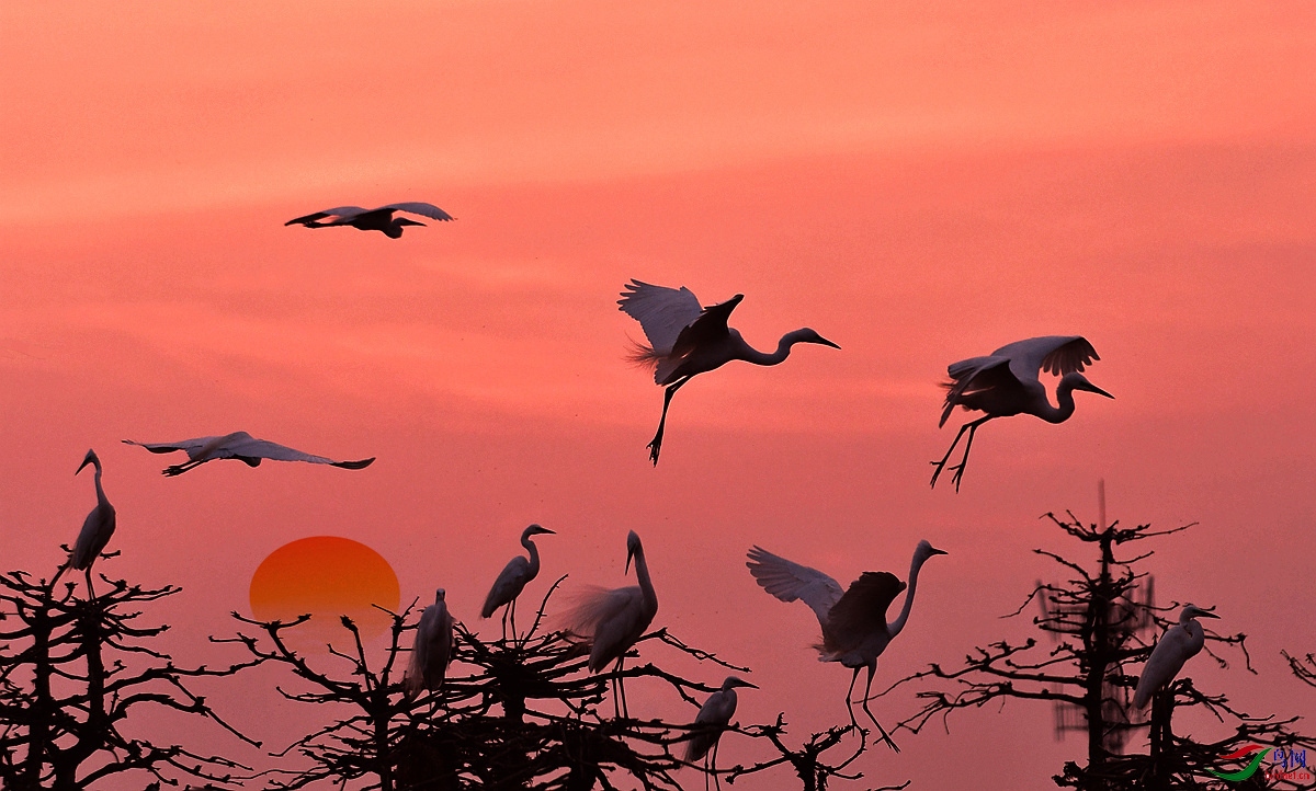 ��ɽ����