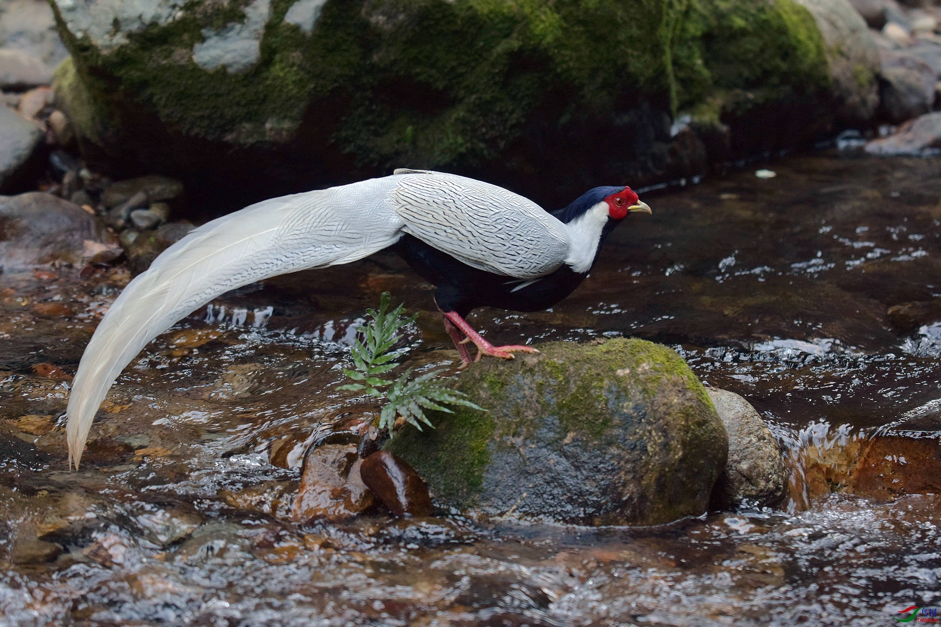 D72_1045.jpg