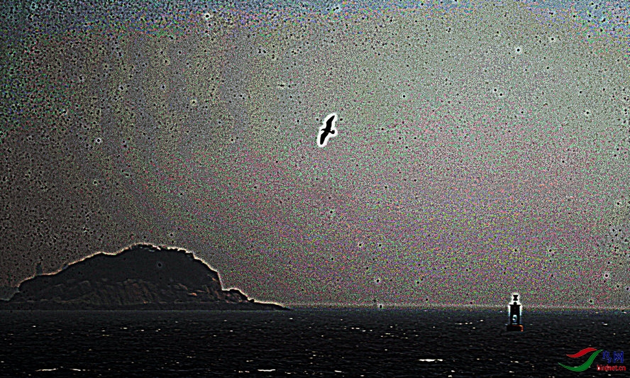 BW6I1917_����_����.jpg