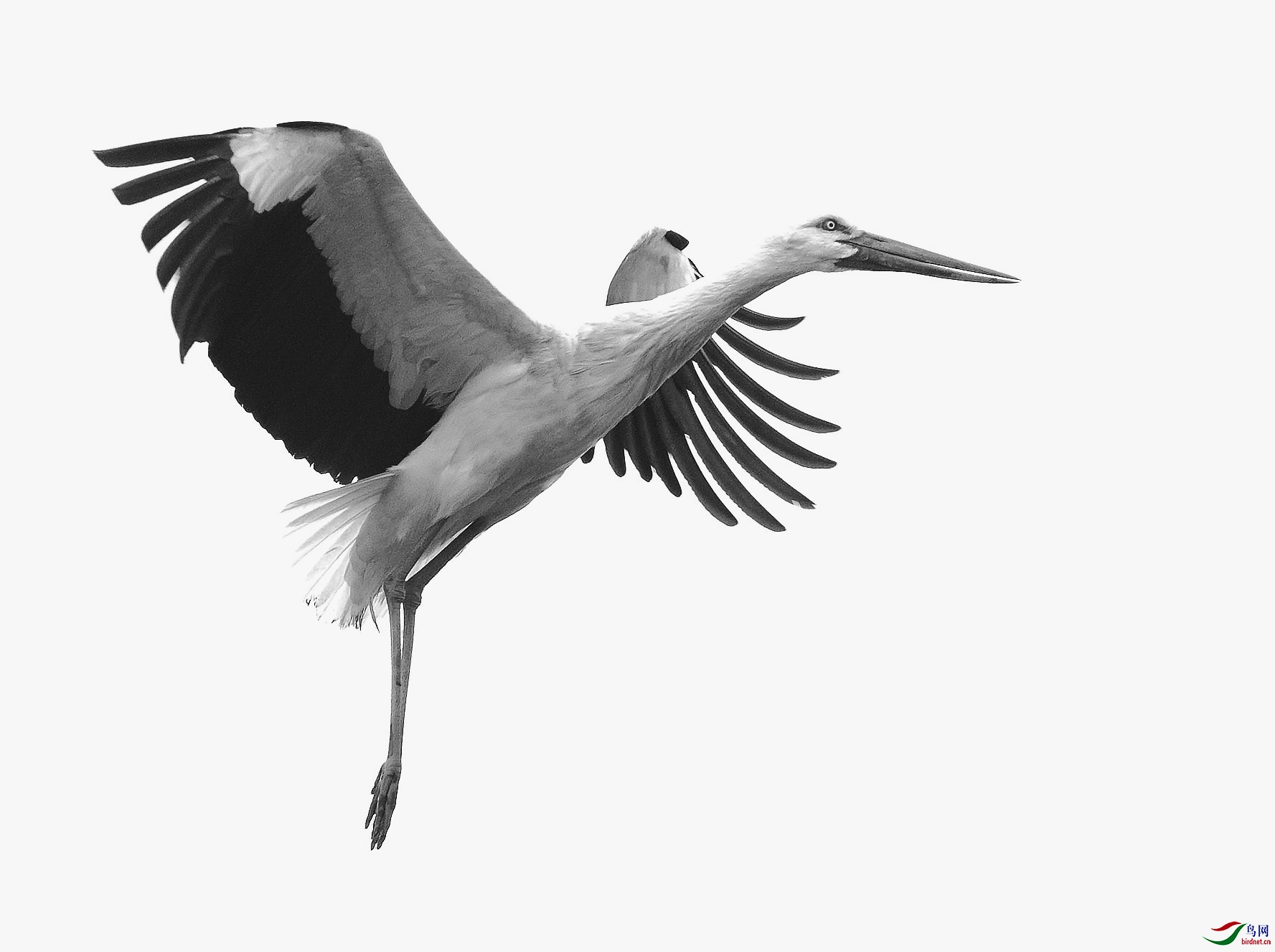 CI6W5123�������� ���ڰף�.jpg