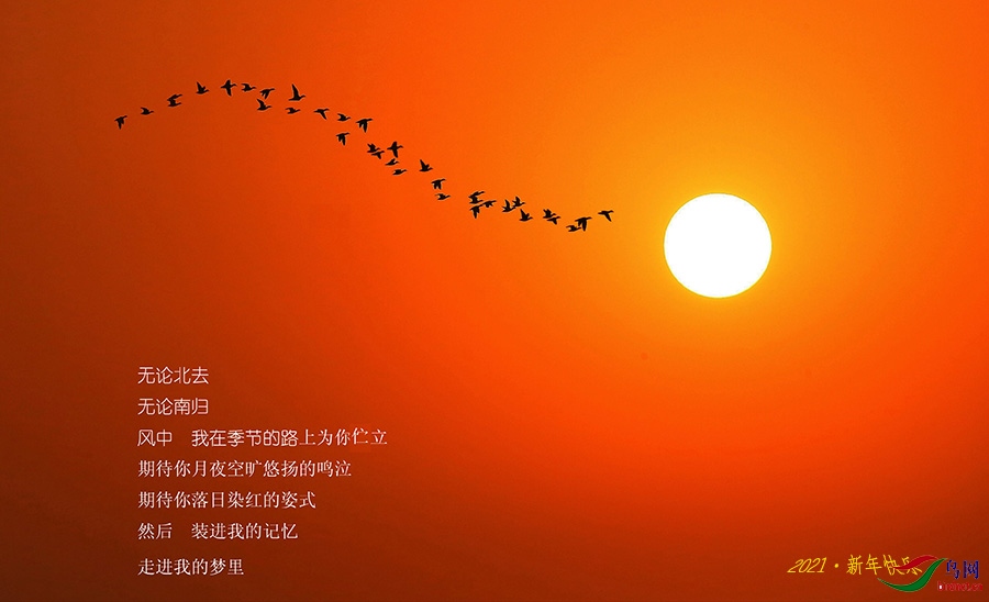 �������1