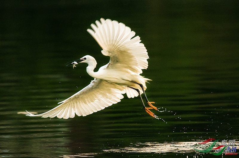 �����Ե ��ʦ�����ڹ���׳��������������.jpg