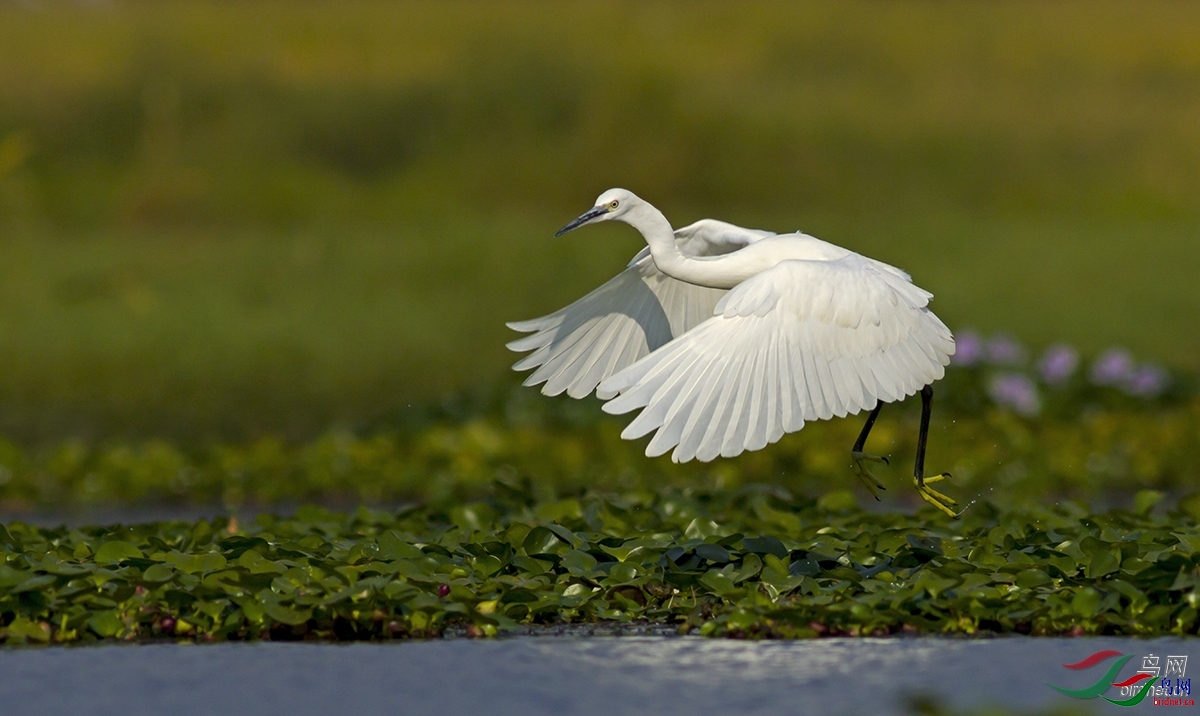 ������ ��ʦ�����ں���ʡ��ɳ��������.jpg