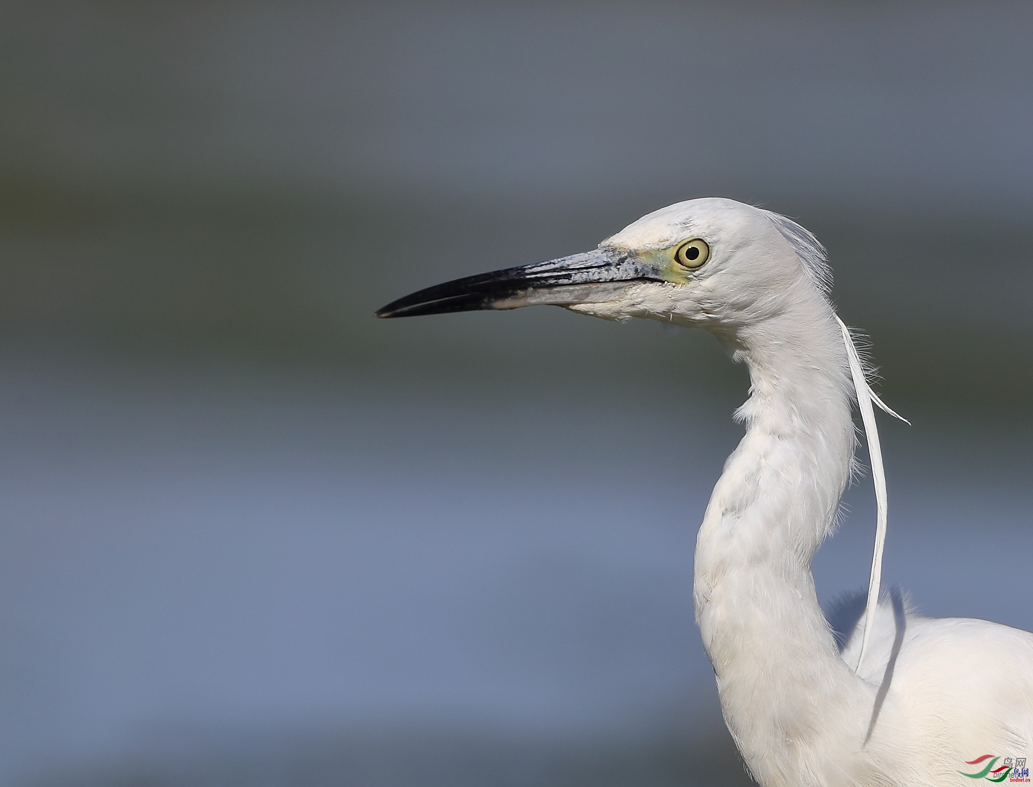 �ǲ� ��ʦ�����ںӱ�ʡʯ��ׯ��.jpg