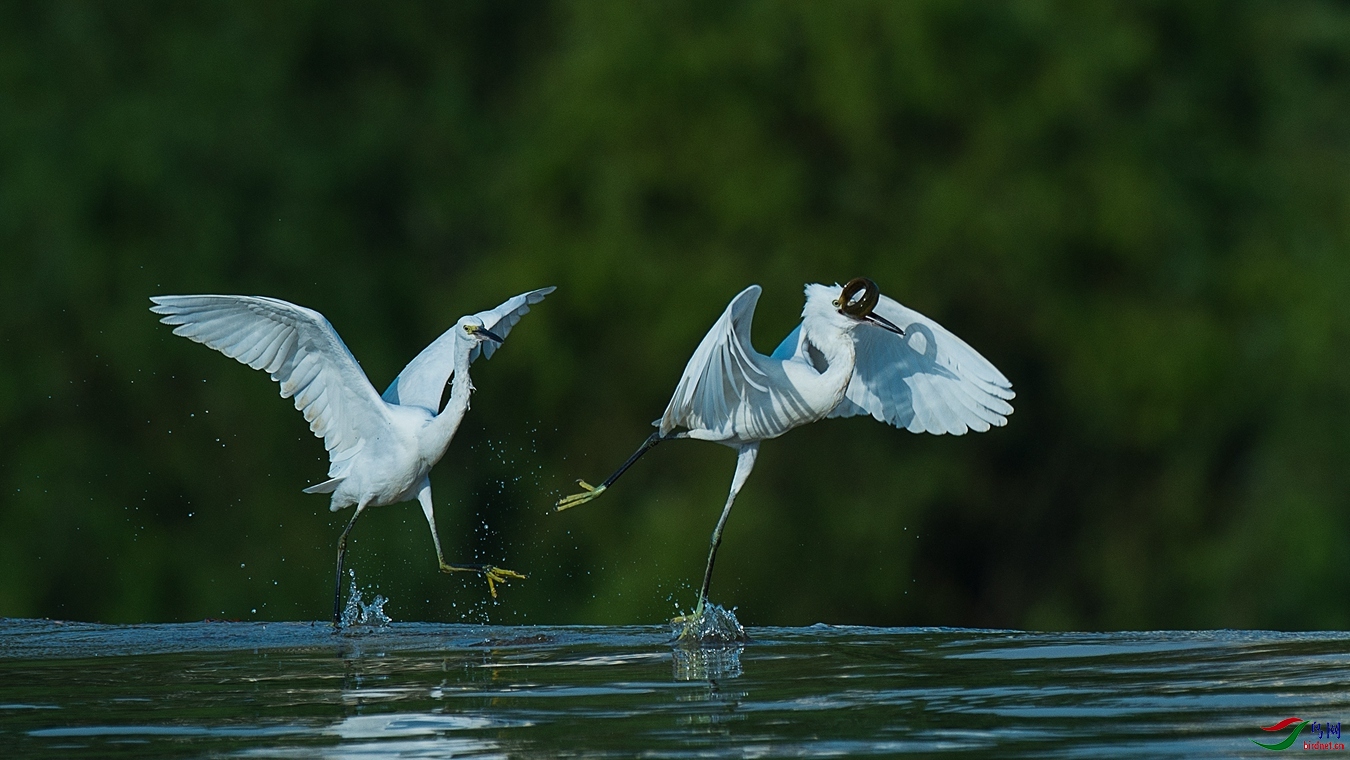 XCG_3249 - ����.jpg