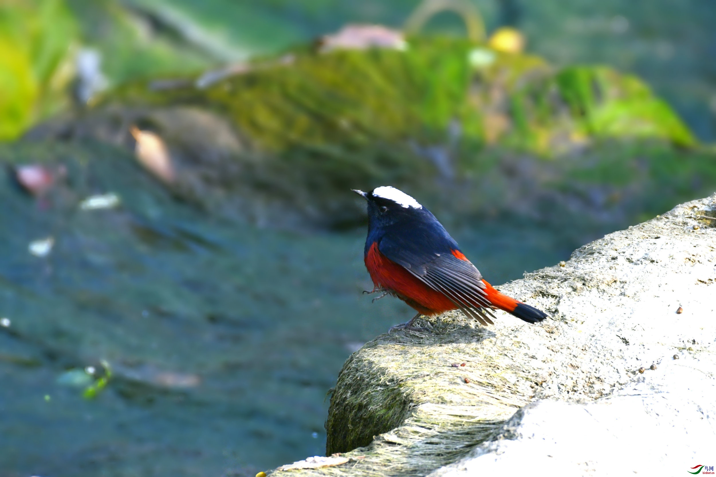 _DSC8067.JPG