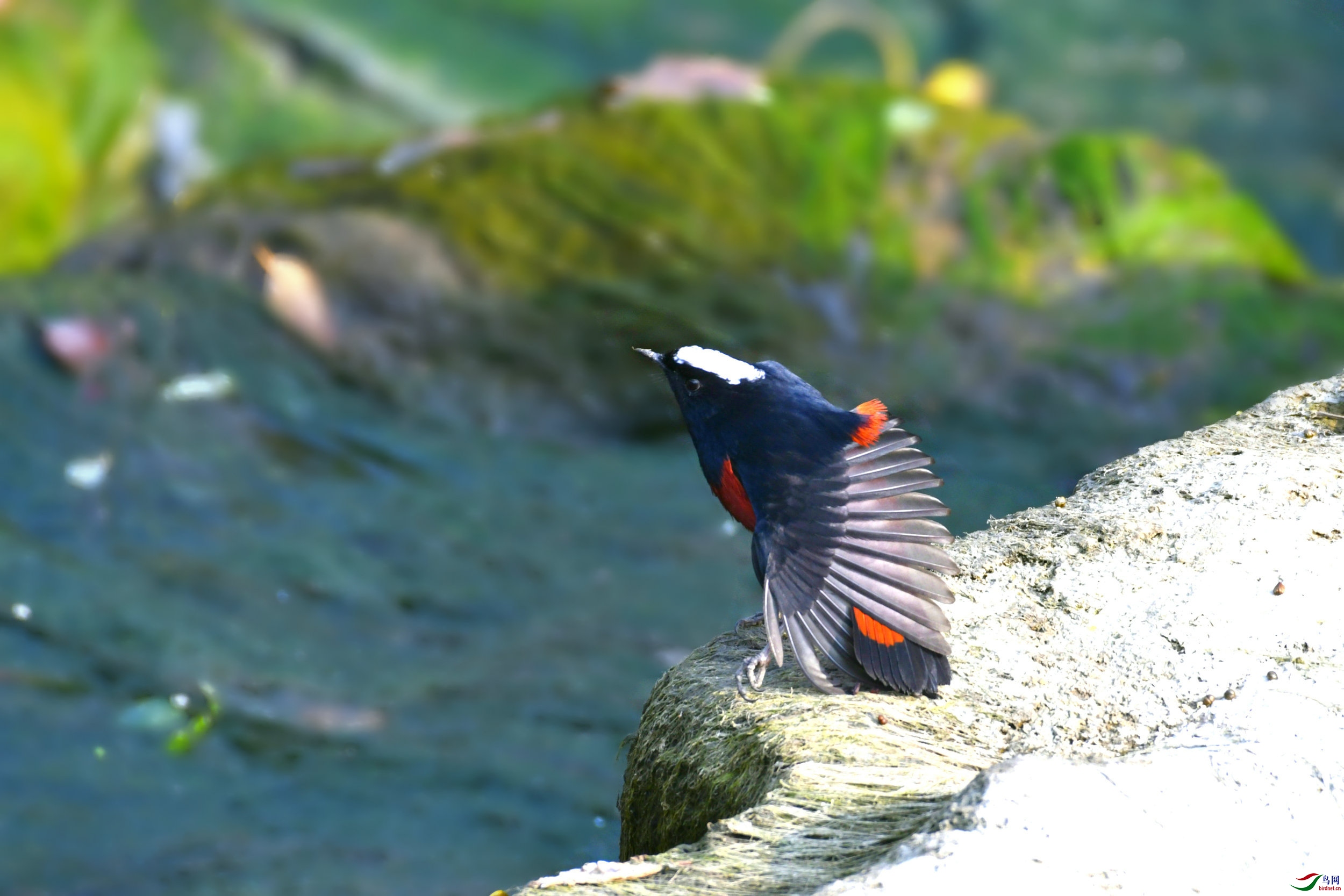 _DSC8073.JPG