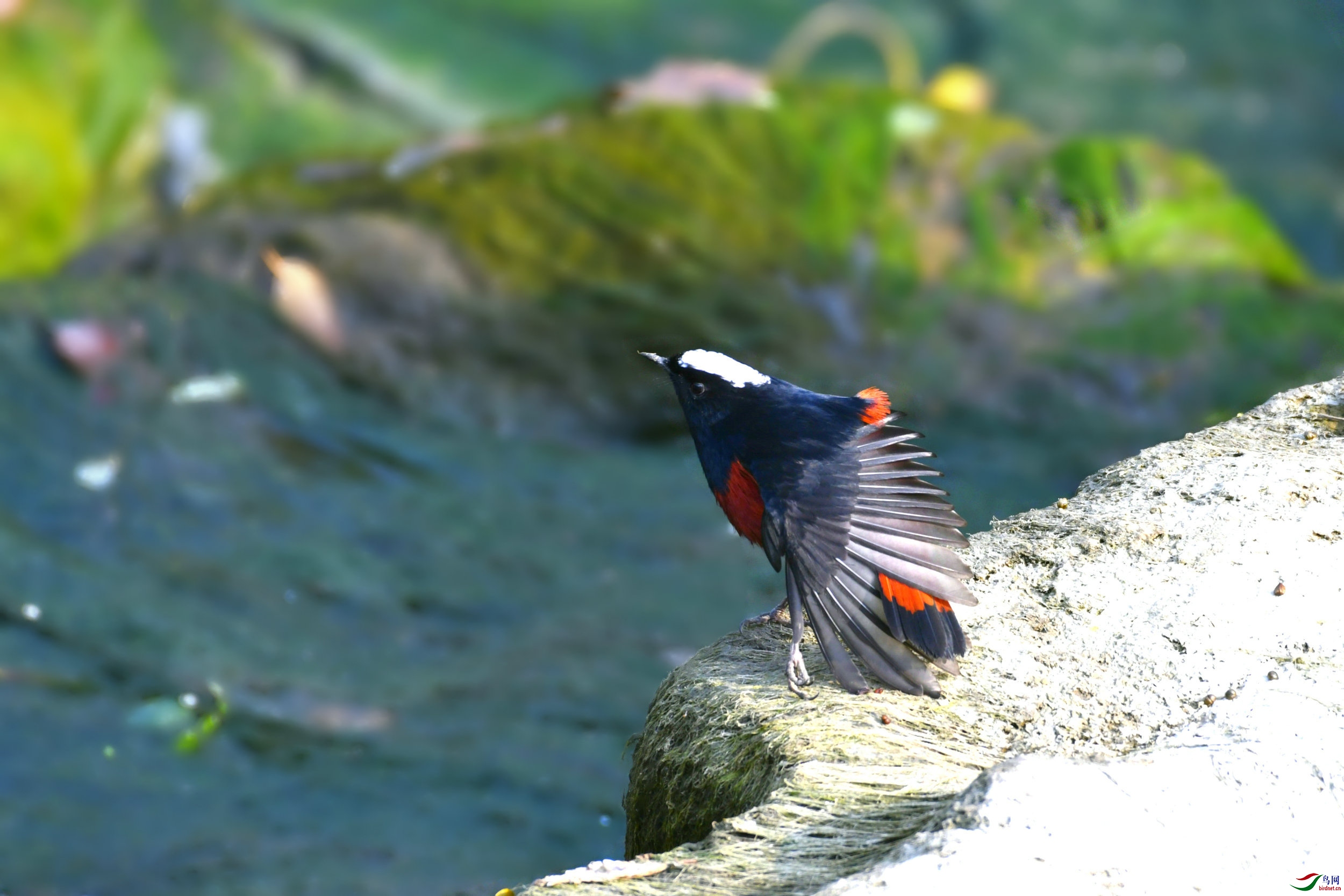 _DSC8074.JPG