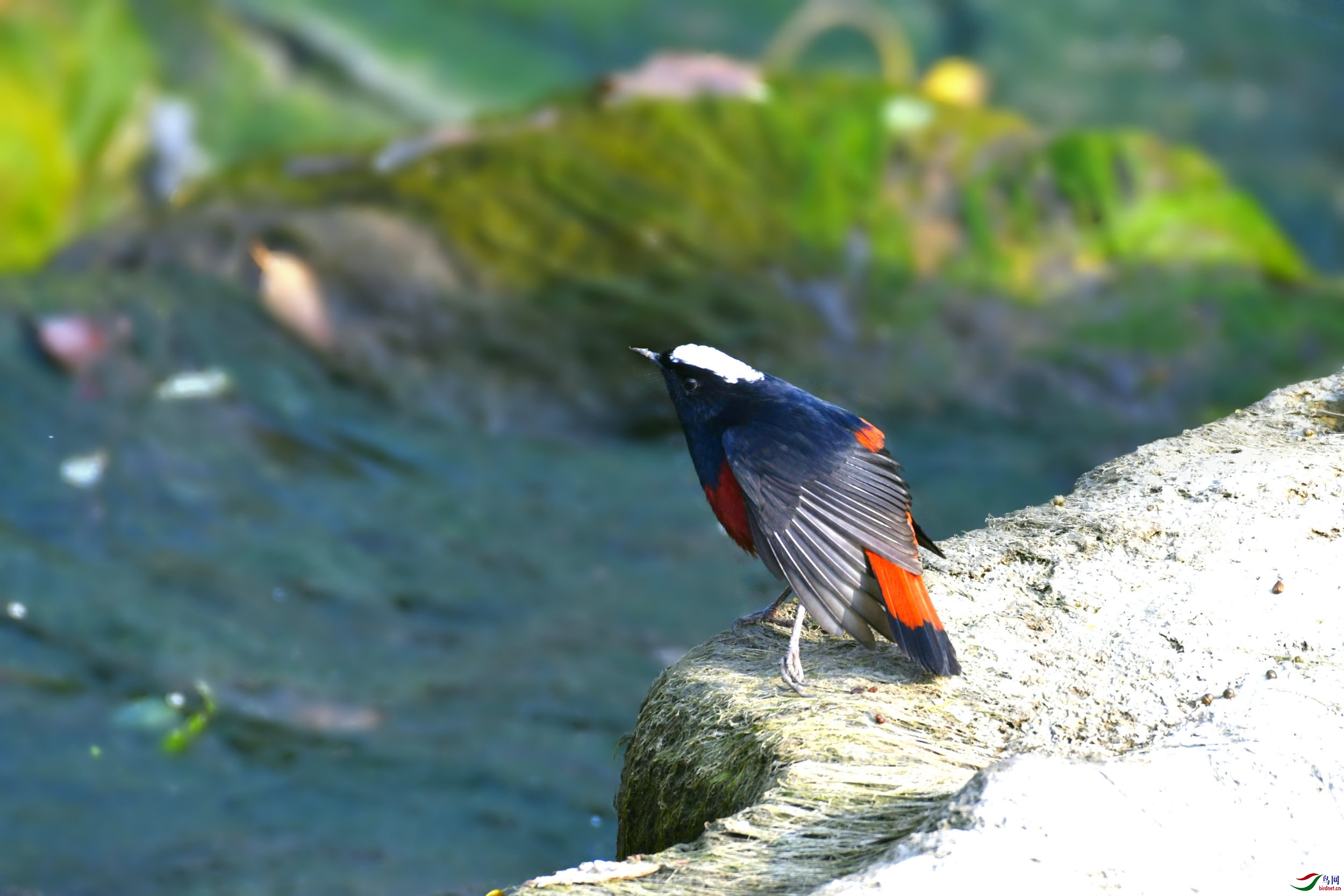 _DSC8076.JPG