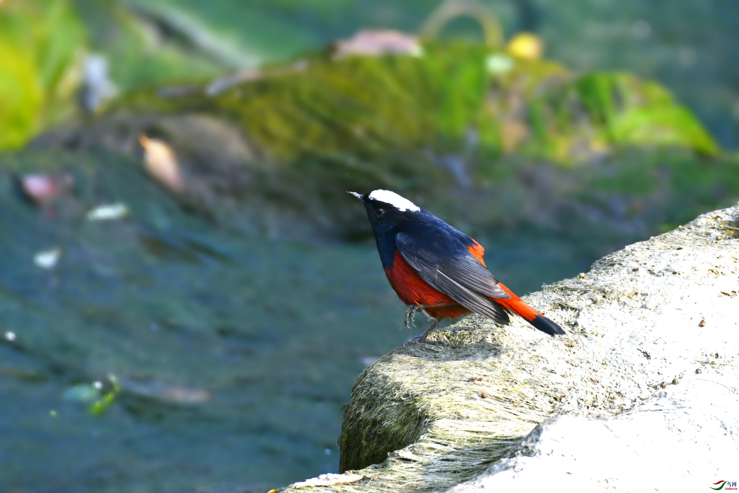 _DSC8077.JPG
