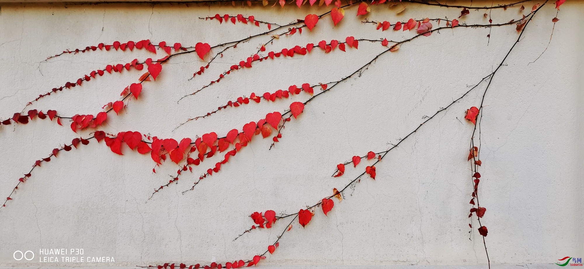 ΢��ͼƬ_20201113152548_����.jpg