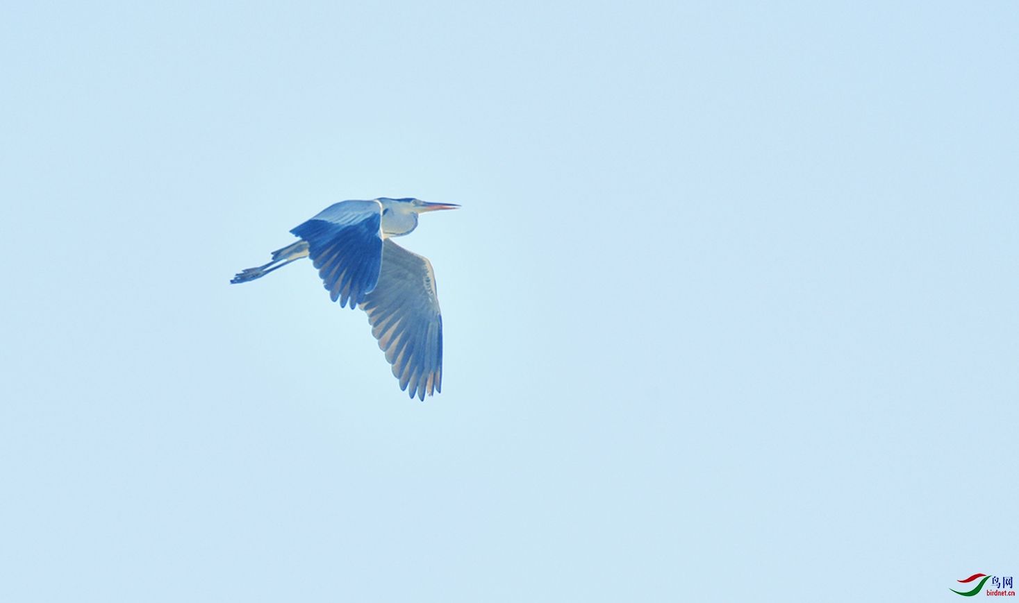 _DSC8430_00001-01-p-2.jpg