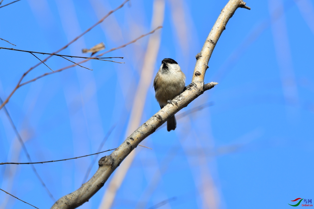 DSC_7538.jpg