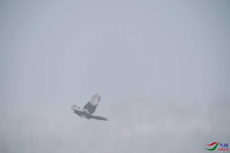 DSC00722.jpg