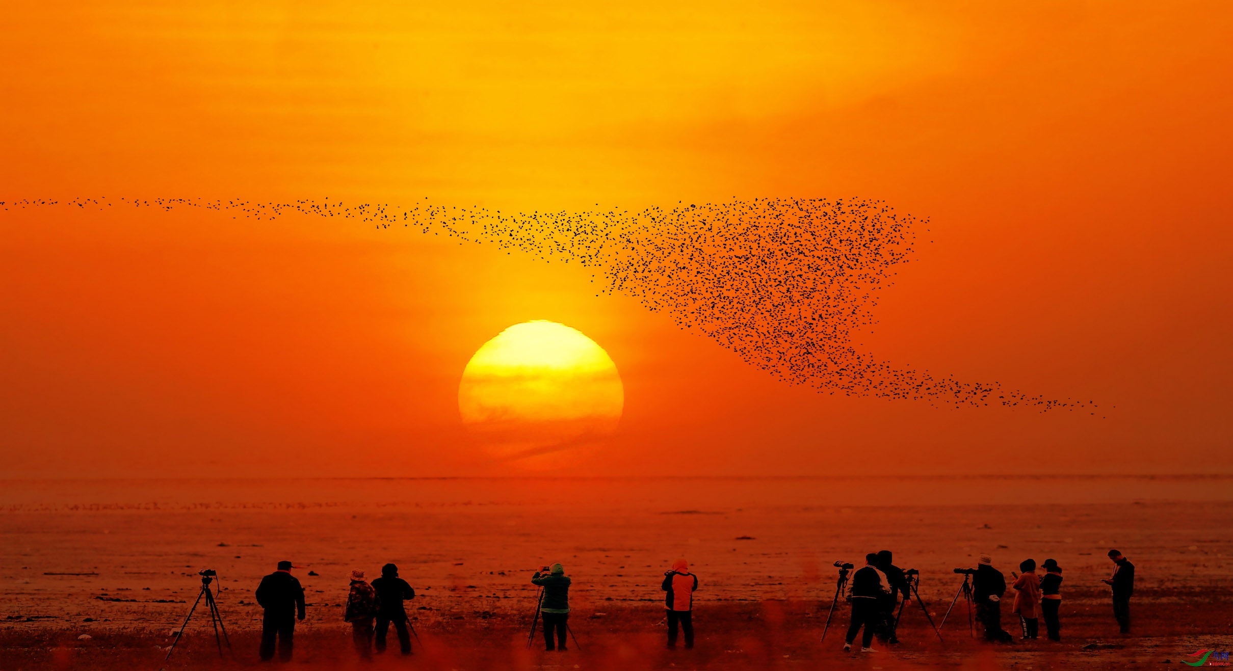 AB0R6714�ĸ��� 2����.jpg