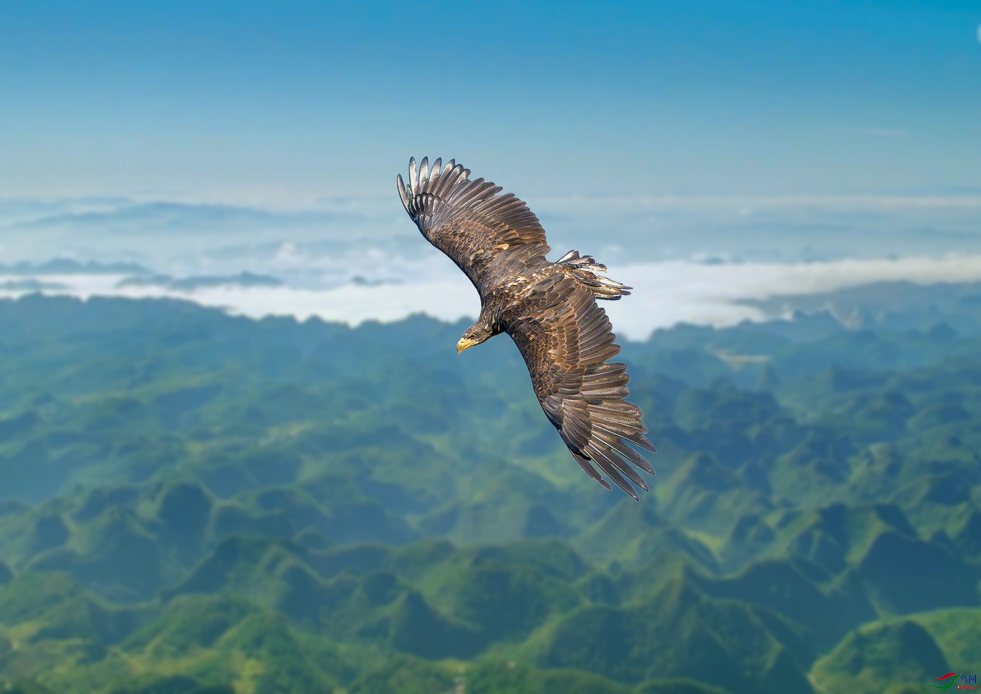 ӥ������ 1920x500k.jpg