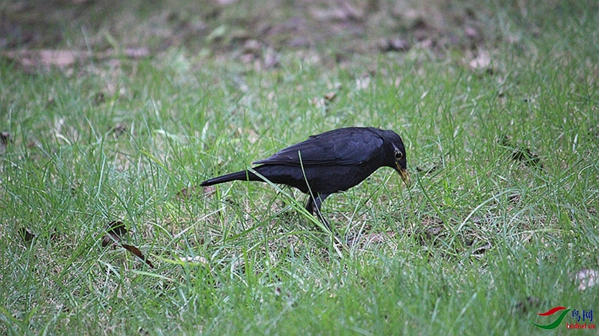 IMG_0030.JPG