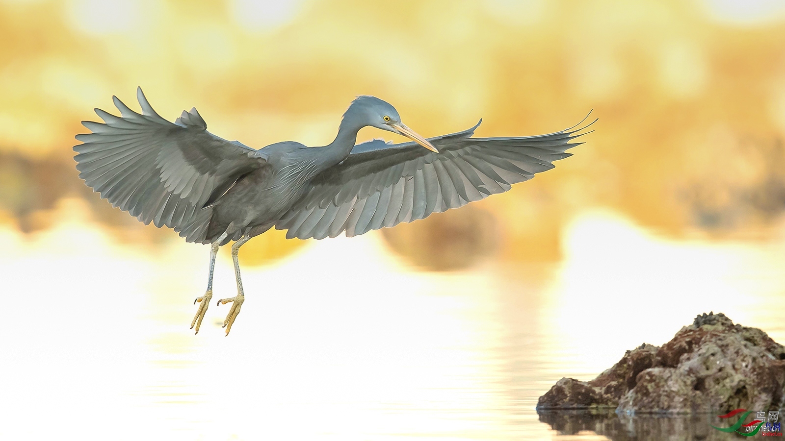 ��ʯ��  ��ʦ�����ں���ʡ������������.jpg