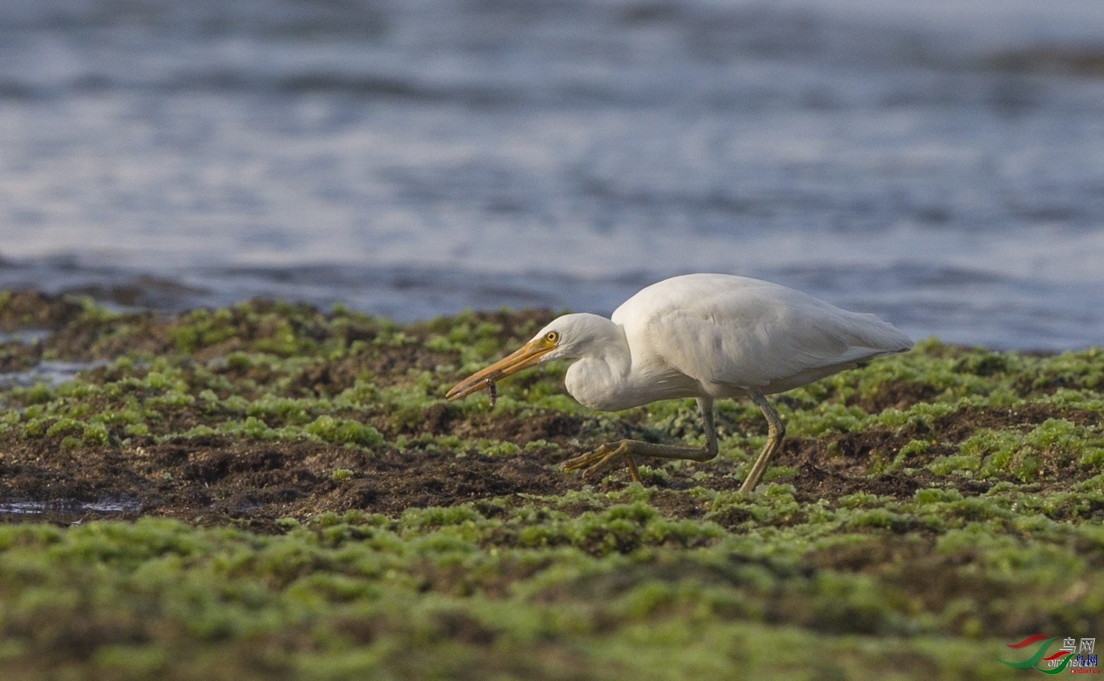 �����б�  ��ʦ����������ر�������������.jpg