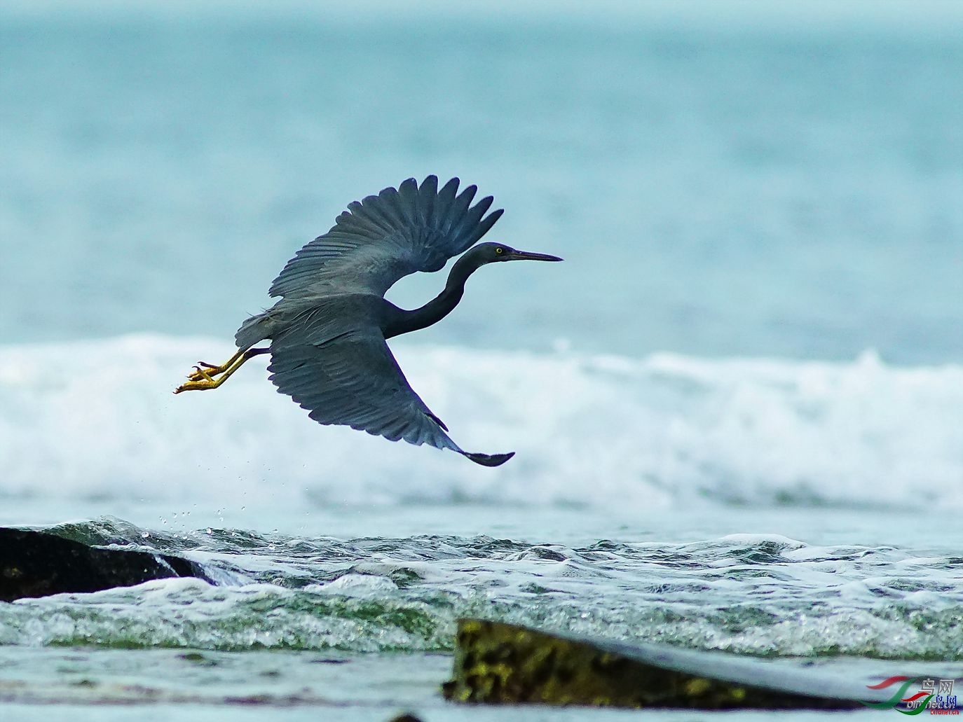 �Ϻӿ� ��ʦ�����ں���ʡ������������.jpg